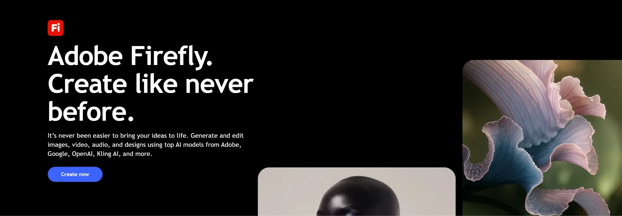 Adobe Firefly promotional text highlighting creative features and capabilities.