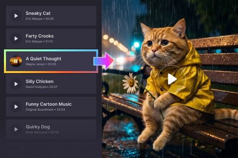 Add the Purrfect Soundtrack to Your Video