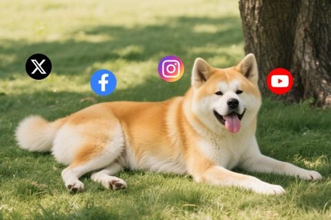 Playful Shareable Dog Art