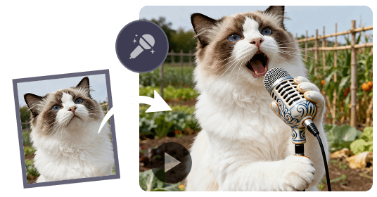 create-any-video