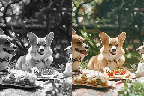 Colorize Photos Immediately and Accurately