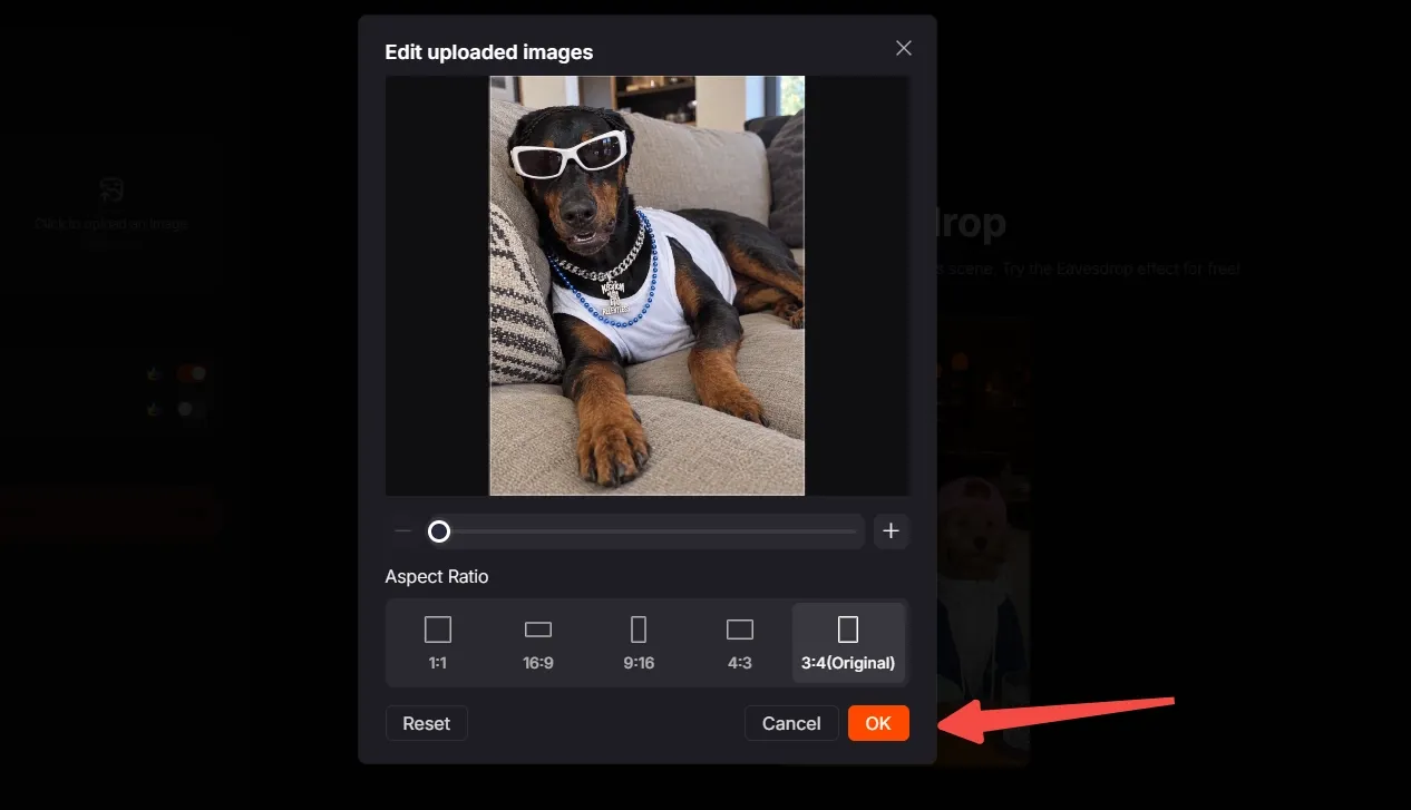 A dog wearing sunglasses and a shirt relaxes on a couch.