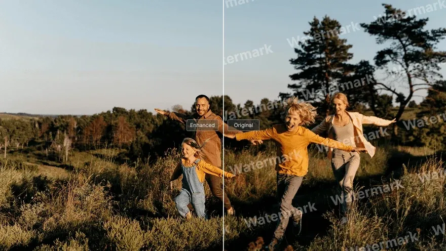 example-photo-of-watermark-removal.webp