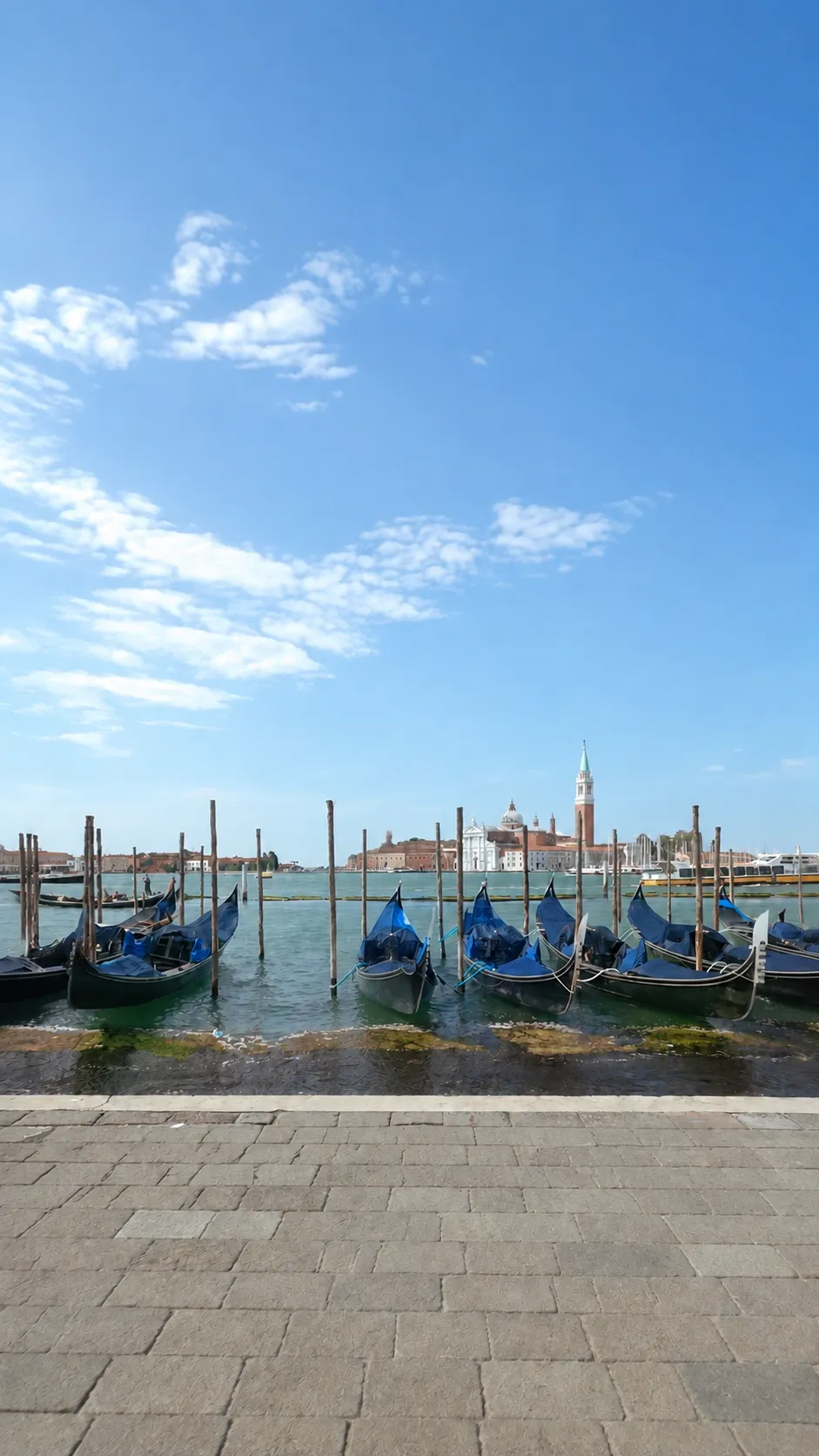 Gondolas moored by the shore with a view of buildings under a clear blue sky.