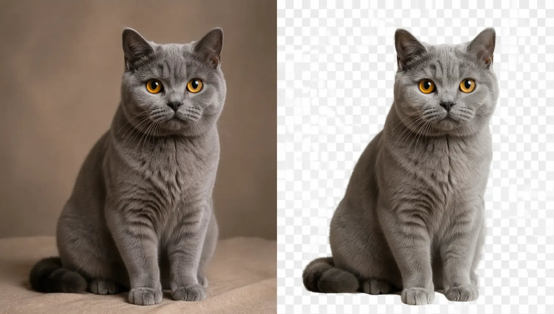 Turn Any Photo into a Reusable Asset