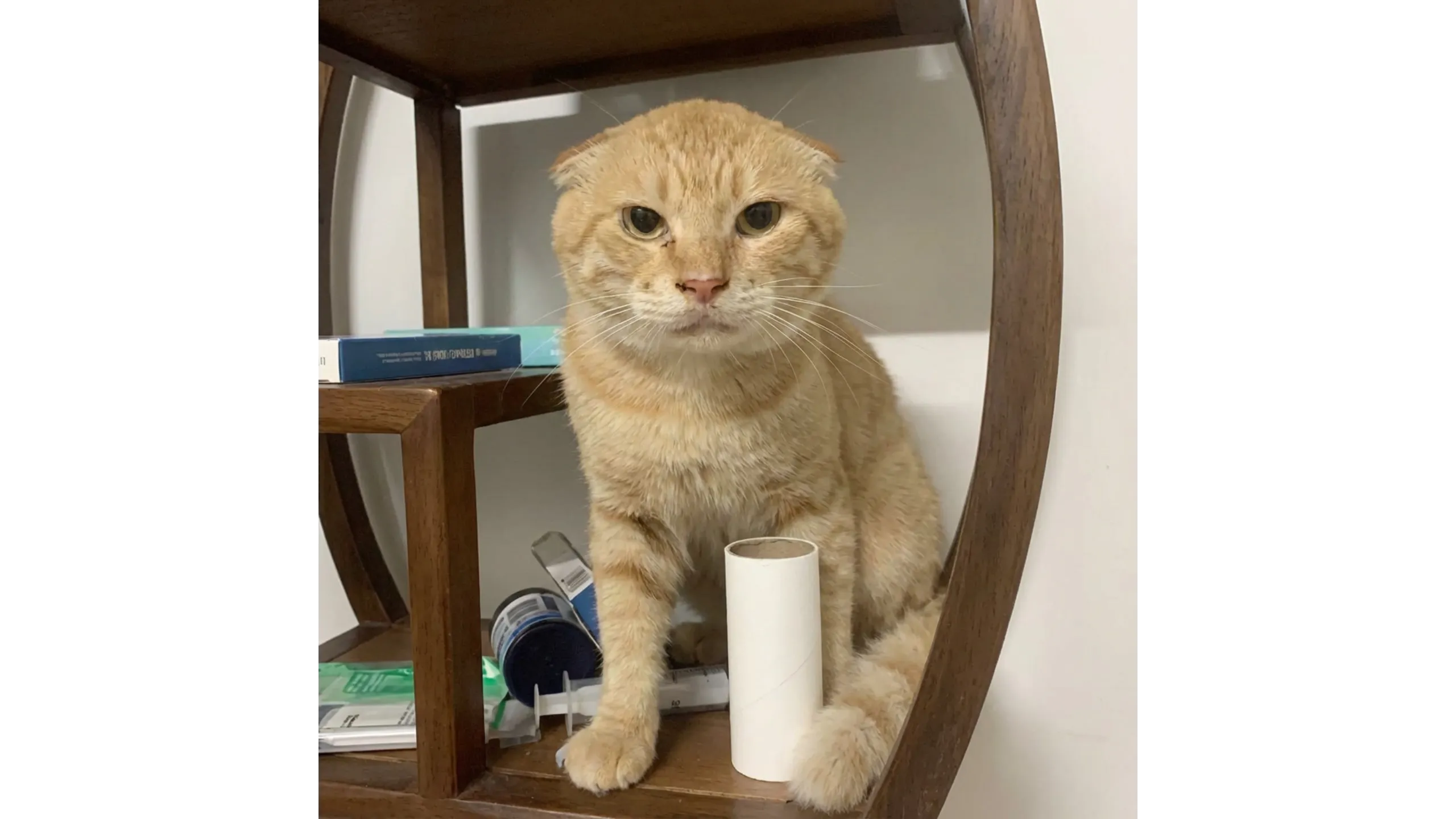 An orange cat sitting on a wooden shelf next to a white tube and various items.