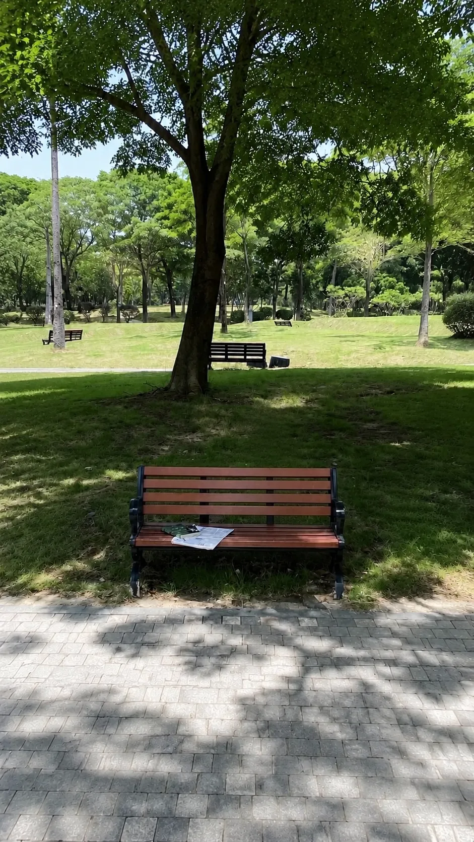 A wooden bench in a park surrounded by lush green trees and grass.