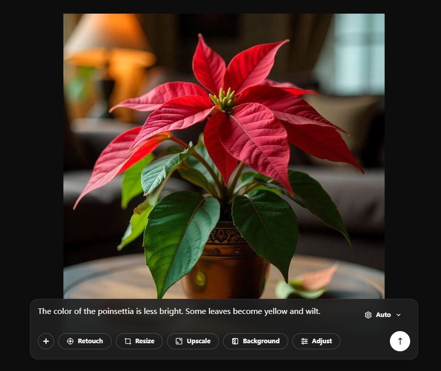 poinsettia-min.jpg
