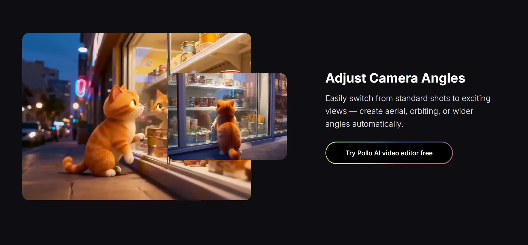 Pollo AI video editor feature section showing camera angle adjustment for a cat by a shop window