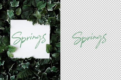 Perfect for Branding & Business Use