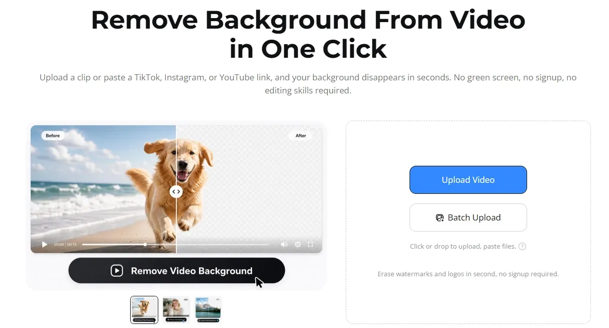 背景除去用の動画編集インターフェースと、ビーチにいるゴールデンレトリバー。