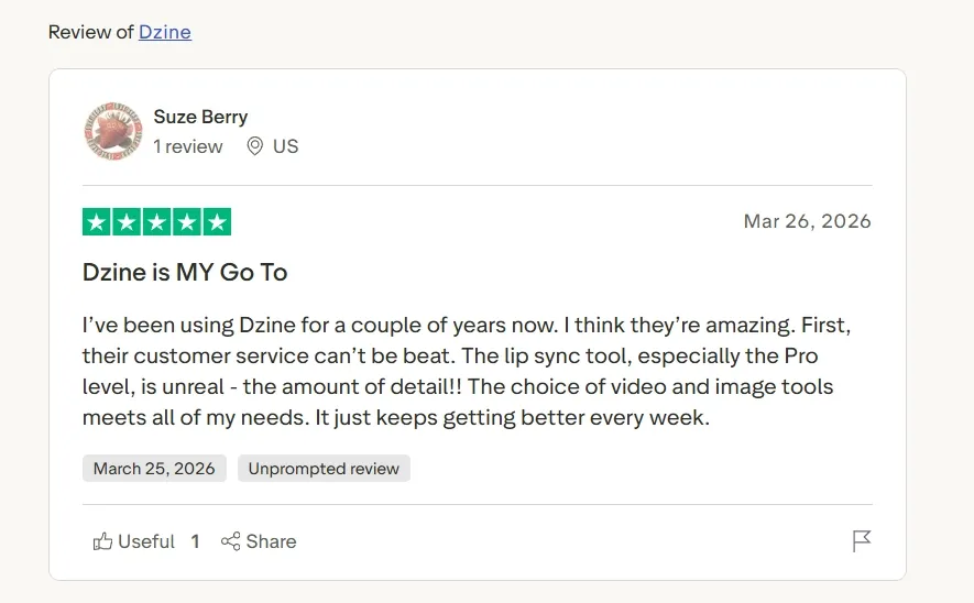 Recensione di Dzine che elogia il servizio clienti e gli strumenti video.
