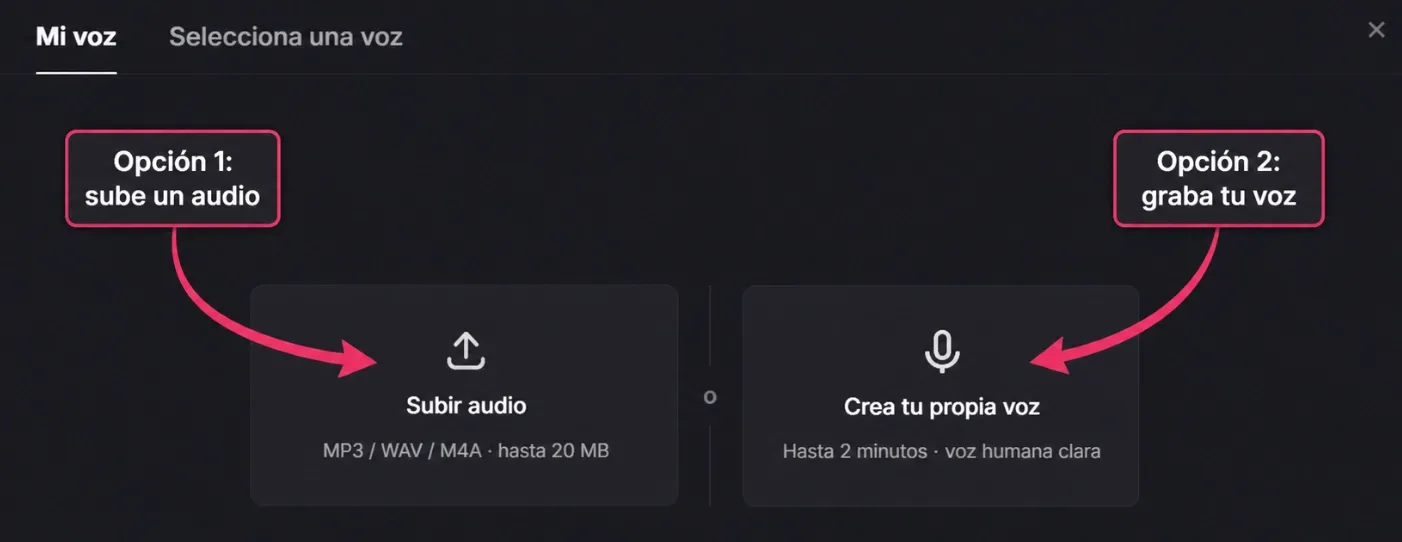 captura de pantalla de clonar voz de Pollo AI