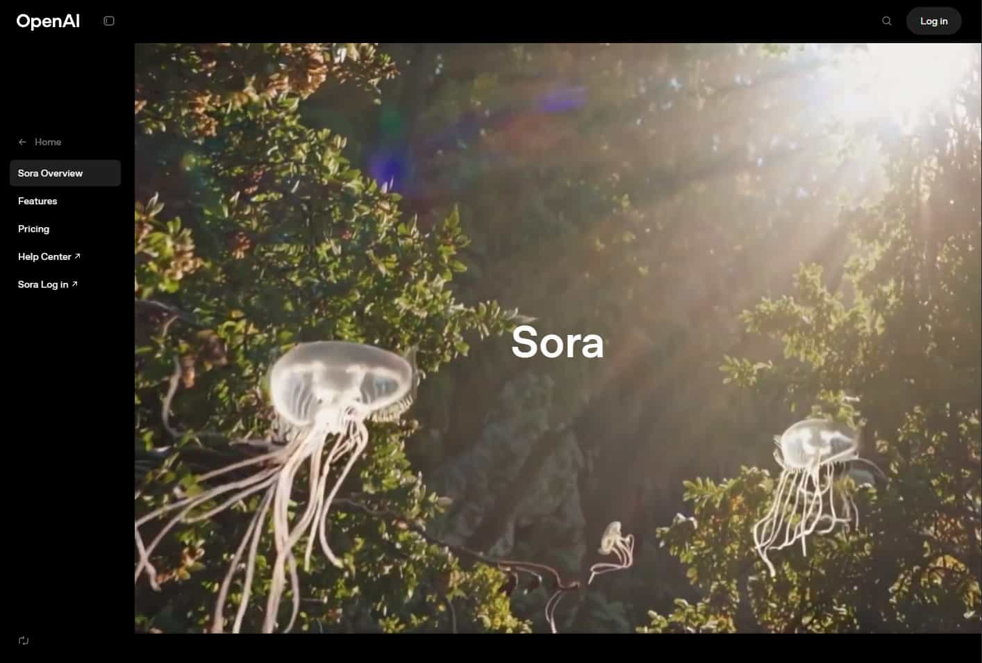 Sora