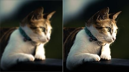 Unblur Images
