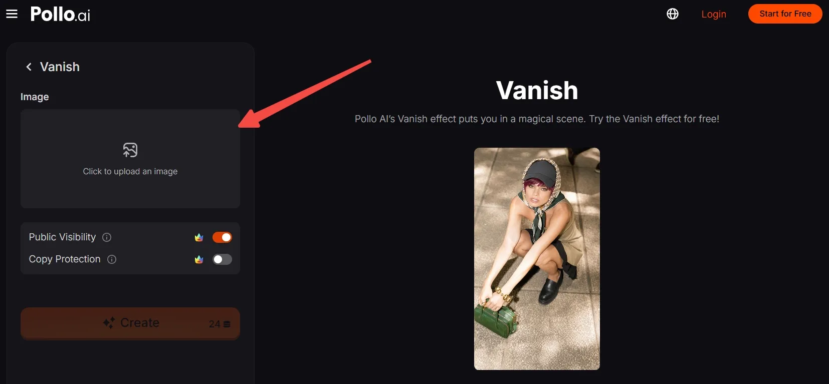 User interface for uploading an image with options for visibility and protection.