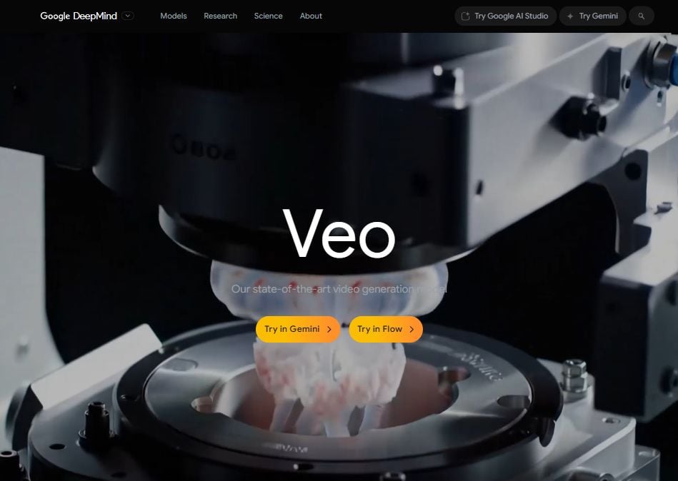 veo-min.jpg
