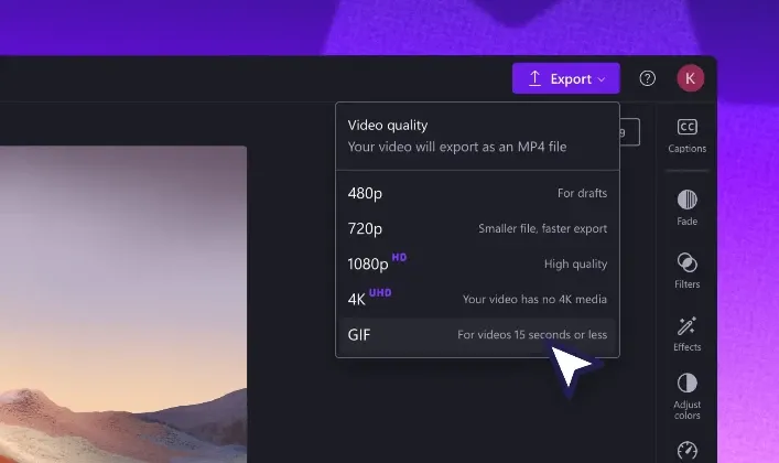 Video editor export settings menu with the GIF export option selected